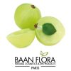 amla bio baan flora