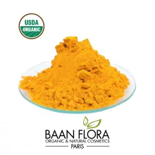 racines de curcuma en poudre en poudre