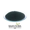 perles de jojoba noires baan flora