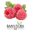 arome naturel framboise baan flora