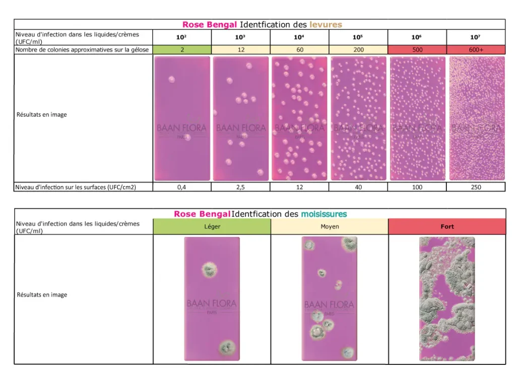 levures moisissures resultat kit de test rose bengale baan flora